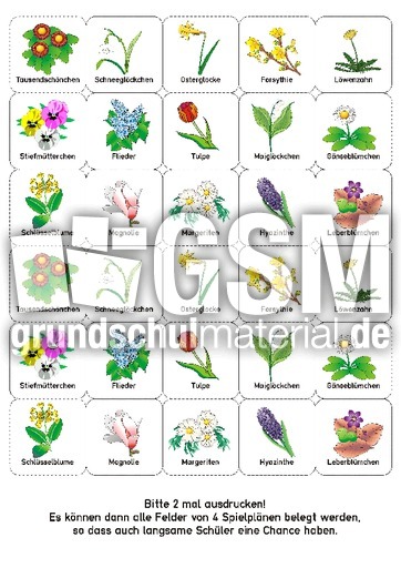 BG_Blumen_Steine.pdf